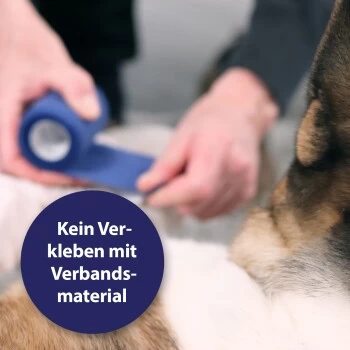 Canosept Wundgel Für Hunde 20 Ml – Bild 2