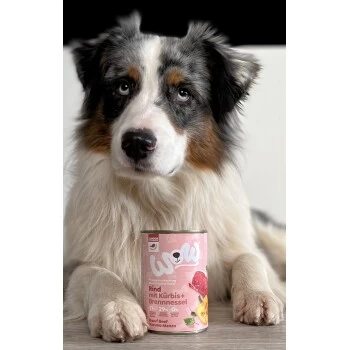 WOW Junior 6x400g Rind Mit Kürbis – Bild 2