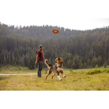 Ruffwear Hydro Plane™ Spielzeug M Orange – Bild 5