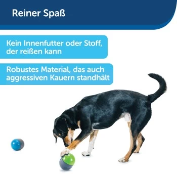 PetSafe Elektronisches Hundespielzeug Ricochet – Bild 5