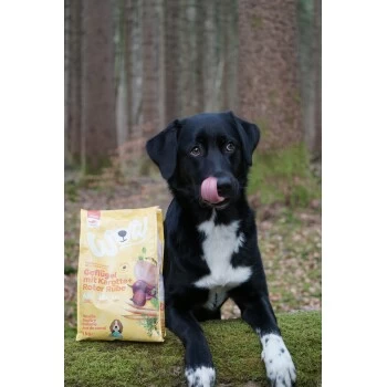 WOW Junior Geflügel Mit Karotte 6 Kg – Bild 2