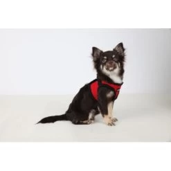 Puppia Geschirr Super Soft B (Step) Rot XS