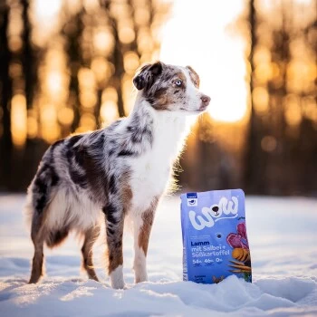 WOW Adult Lamm Mit Salbei 6 Kg – Bild 2