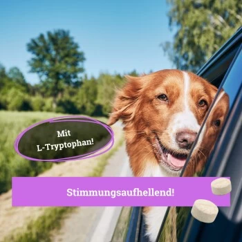 BeG Buddy Beruhigungsmittel Anti Stress – Bild 2