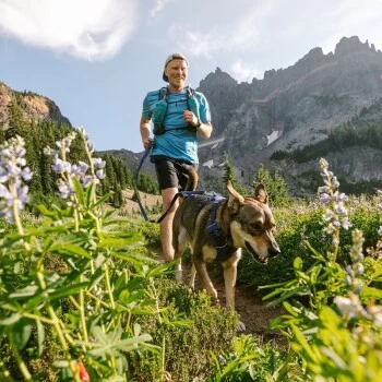 Ruffwear Geschirr Front Range Royal S – Bild 3