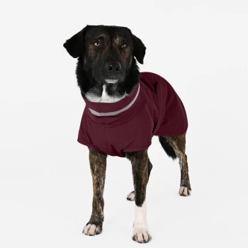 THE DOG IDEA Regenmantel Kayden Bordeaux XXXS – Bild 2