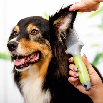 Moser Flexible Zupfbürste - Zweiseitig – Bild 2