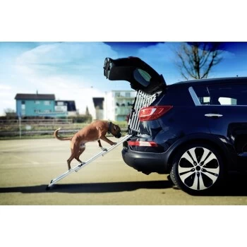 4pets Rampe EasySteps – Bild 4