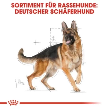 ROYAL CANIN Deutscher Schäferhund Adult 11 Kg – Bild 6