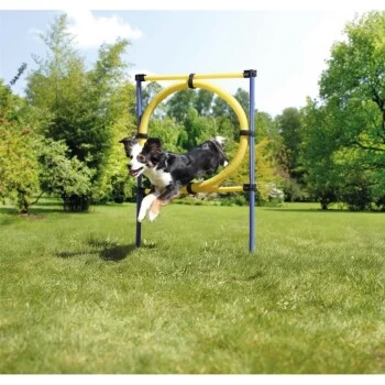 AniOne Agility Hürde – Bild 2