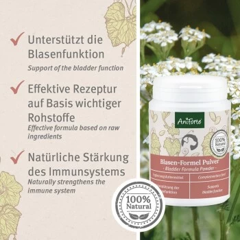 Aniforte Blasen-Formel 100 G – Bild 5