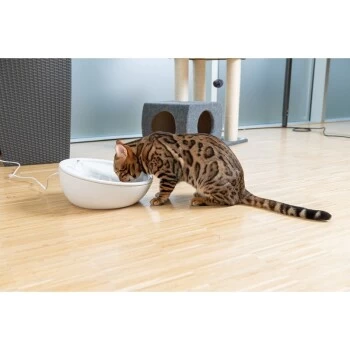 AniOne Keramik-Trinkbrunnen Waterfall Weiß Ohne Ersatzfilter – Bild 3