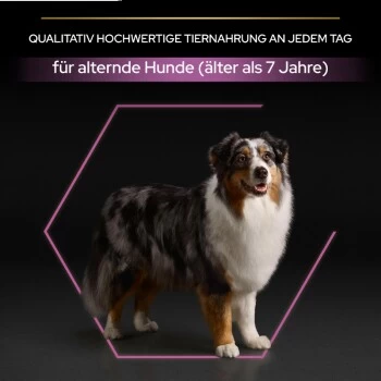 PRO PLAN Optiage Medium & Large Adult 7+ – Bild 5