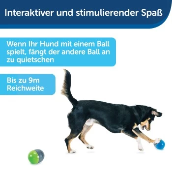 PetSafe Elektronisches Hundespielzeug Ricochet – Bild 3