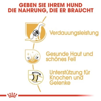 ROYAL CANIN Deutscher Schäferhund Adult 11 Kg – Bild 5
